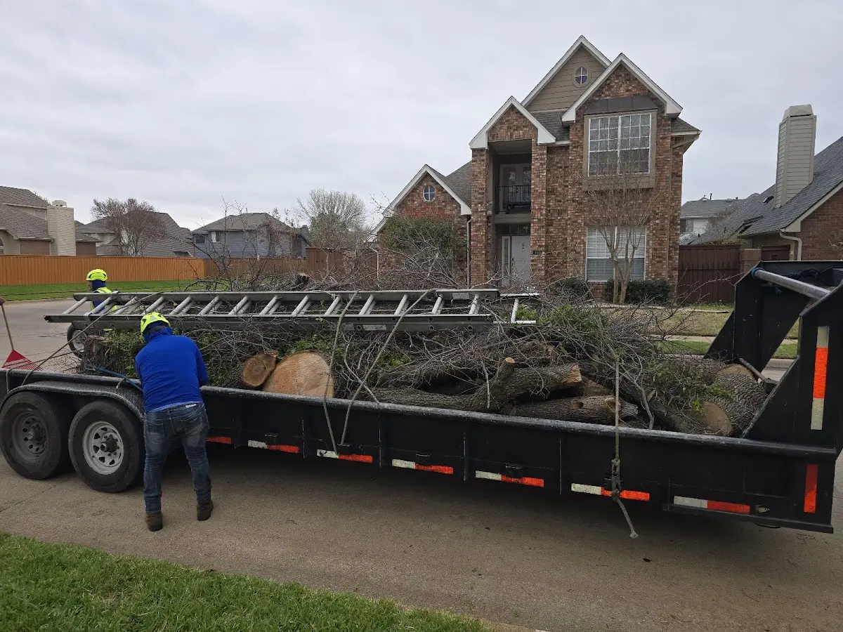 Expert Lot Clearing with proper safety equipment in Fromberg